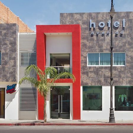 Hotel Avenida Aguascalientes Exterior foto